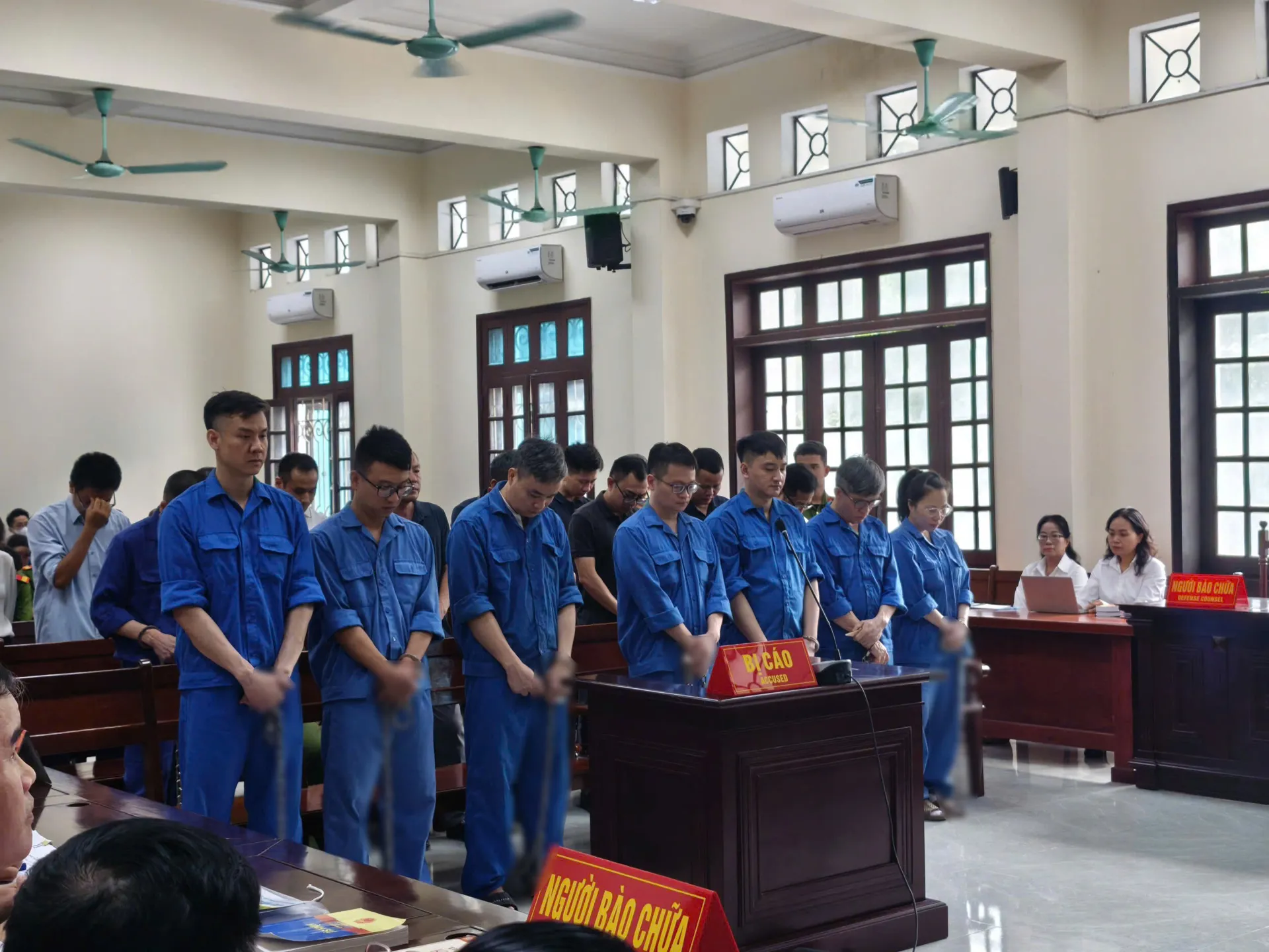 Hình ảnh 1