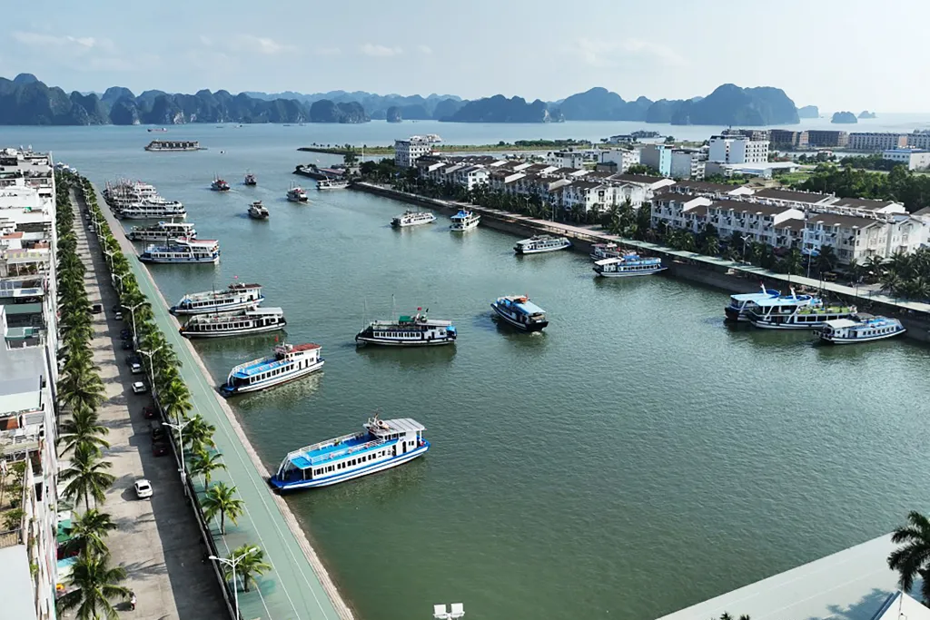 Quảng Ninh: tạm dừng cấp phép rời cảng, bến với các phương tiện vận chuyển khách