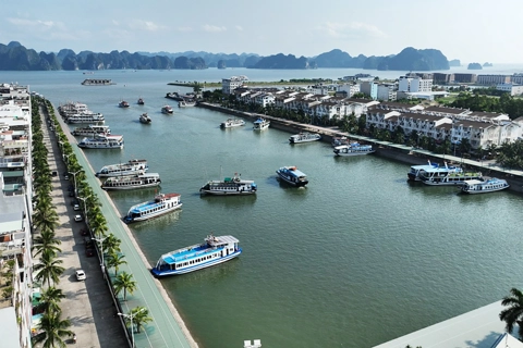 Quảng Ninh: tạm dừng cấp phép rời cảng, bến với các phương tiện vận chuyển khách