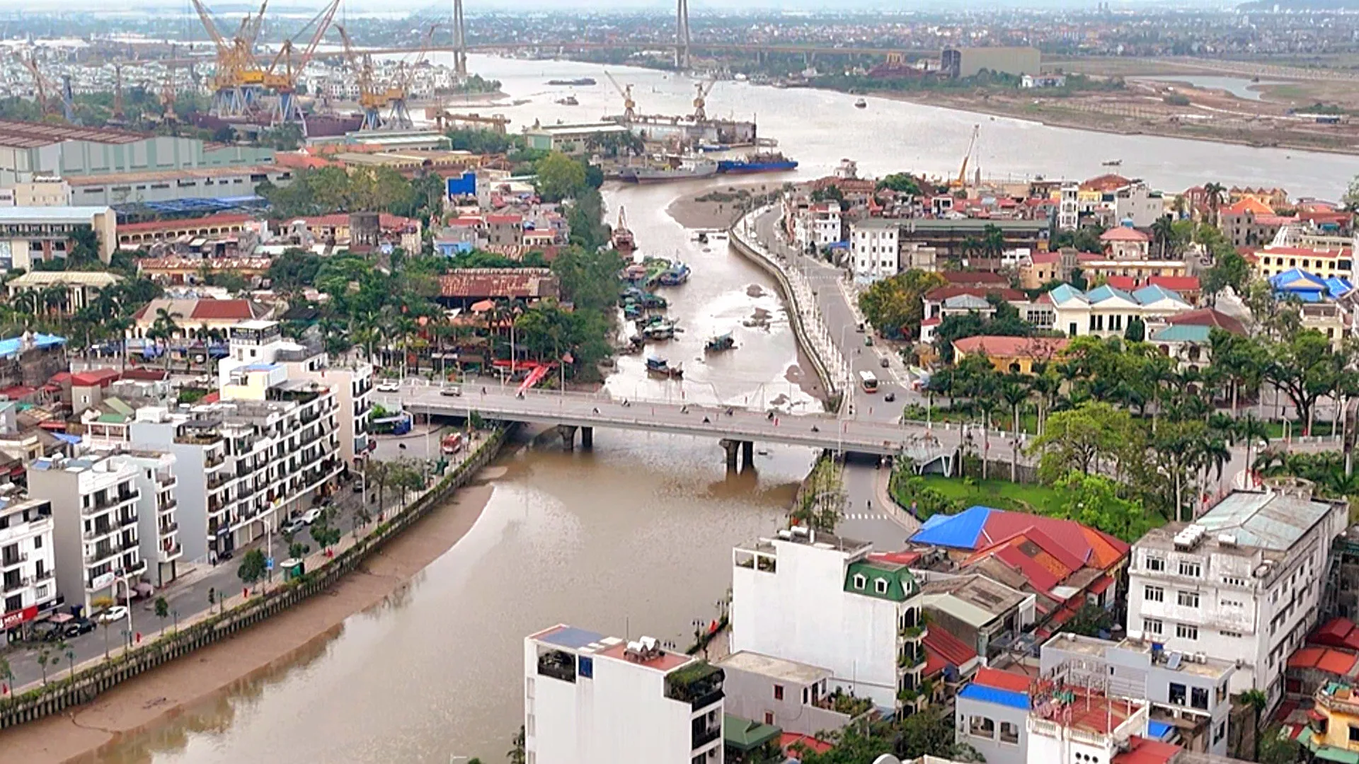 Hình ảnh 1