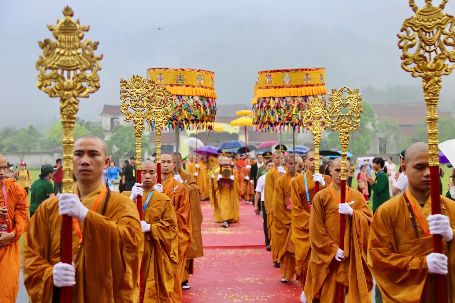 Hình ảnh 2