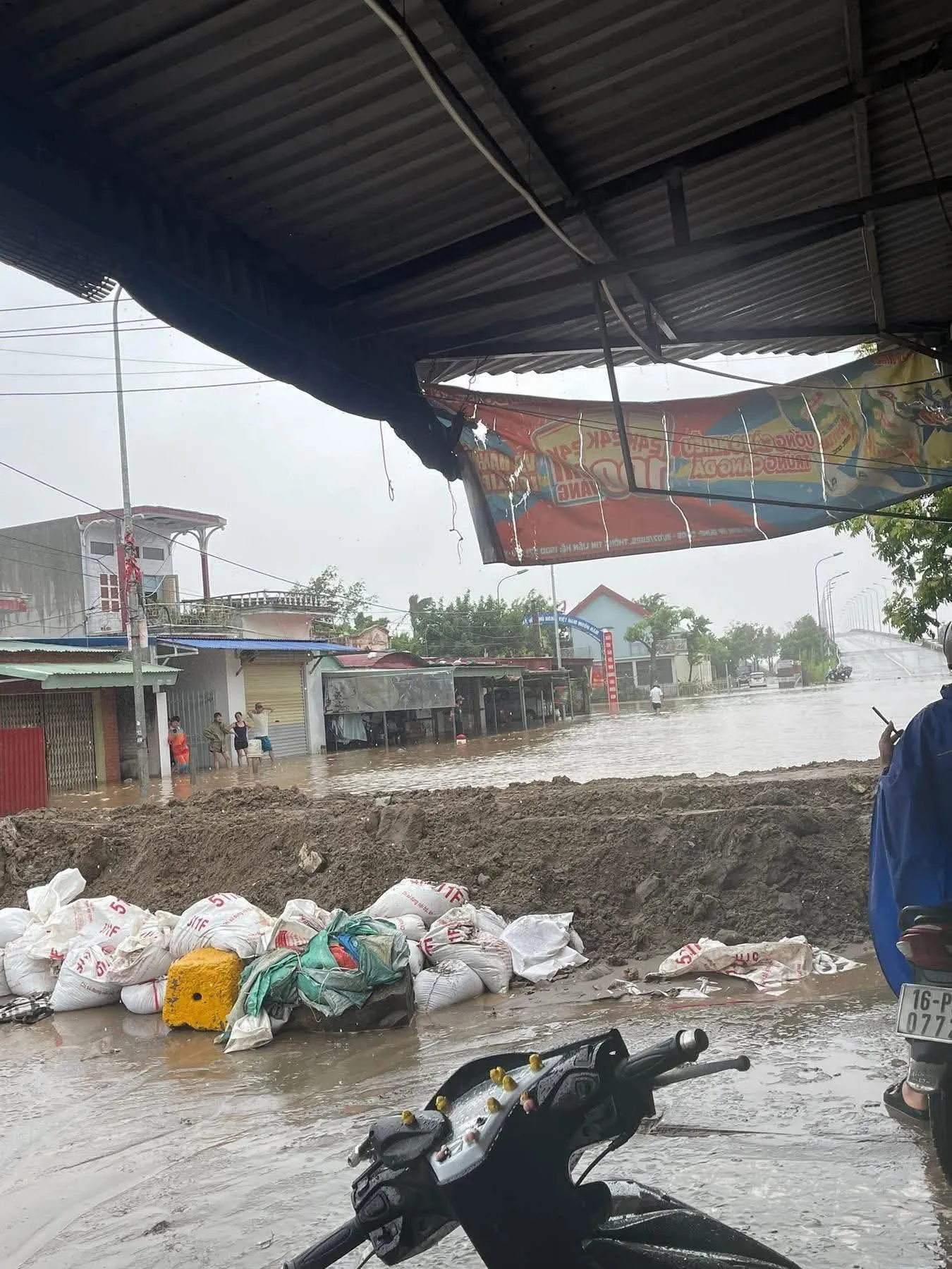 Hình ảnh 1