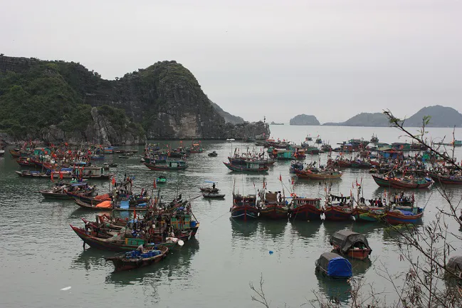 Hải Phòng dỡ bỏ lệnh cấm các hoạt động trên cửa sông, biển
