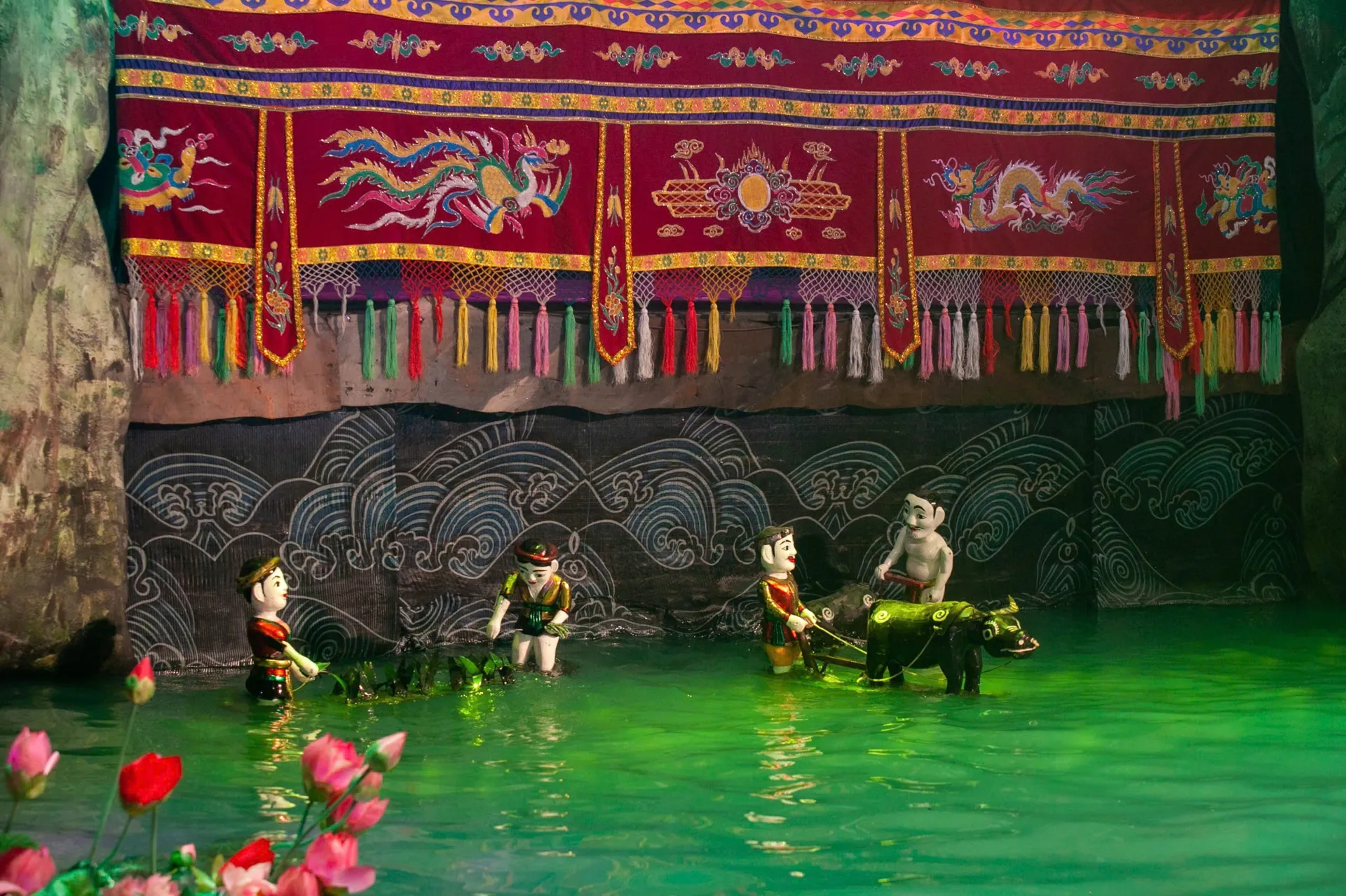 Hình ảnh 1