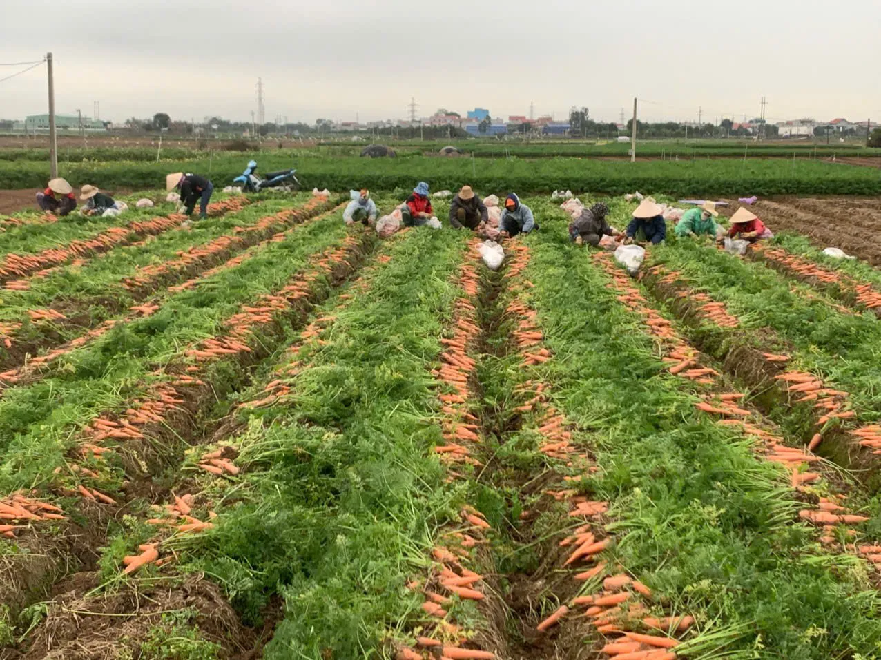 Tỉnh Hải Dương sớm hoàn thành mục tiêu nghị quyết Đại hội Đảng bộ tỉnh lần thứ XVII