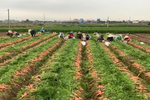 Tỉnh Hải Dương sớm hoàn thành mục tiêu nghị quyết Đại hội Đảng bộ tỉnh lần thứ XVII