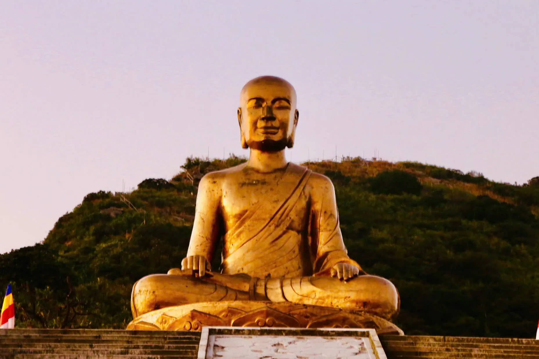 Hình ảnh 3