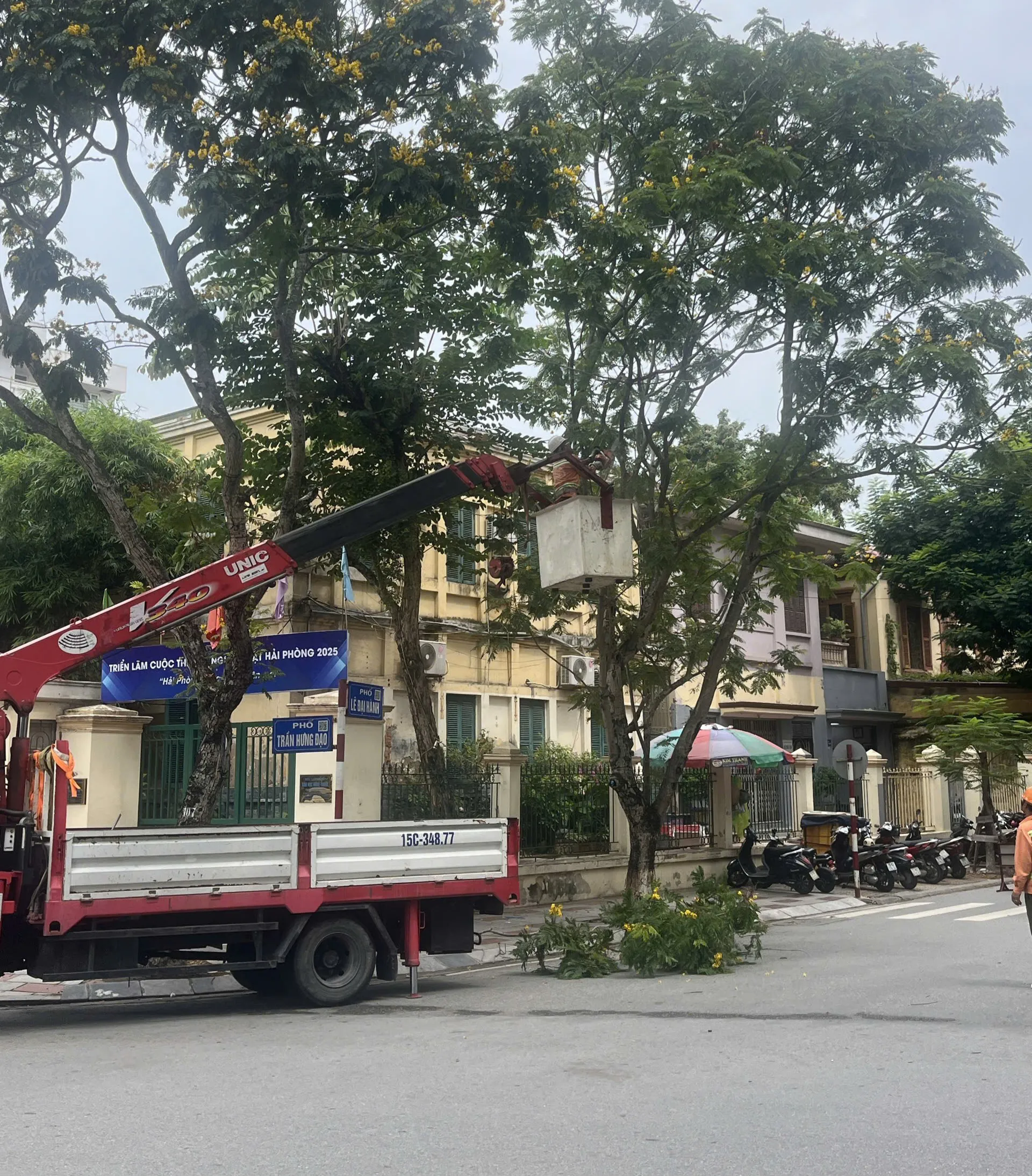 Hình ảnh 2