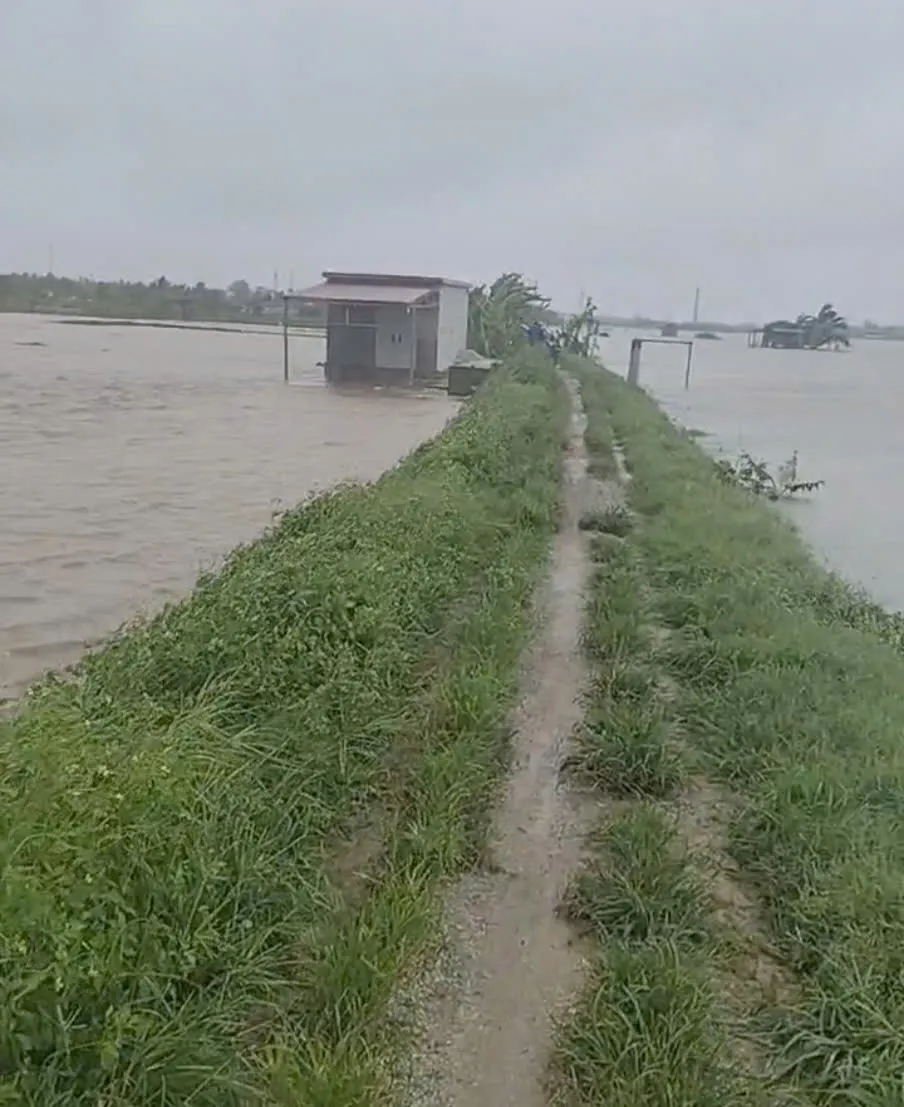 Hình ảnh 2