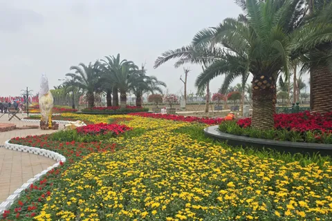 Hải Phòng tổ chức chương trình nghệ thuật mừng Đảng, mừng Xuân đêm giao thừa