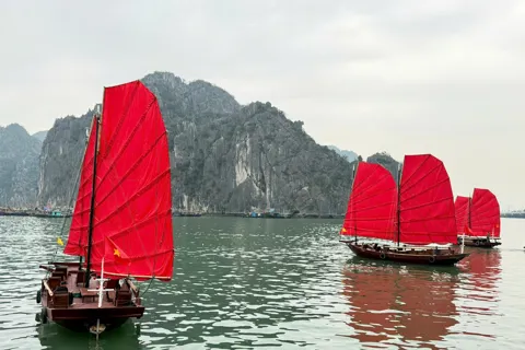 Quảng Ninh: tạm dừng chạy thuyền buồm đỏ ba vách từ ngày 27/2
