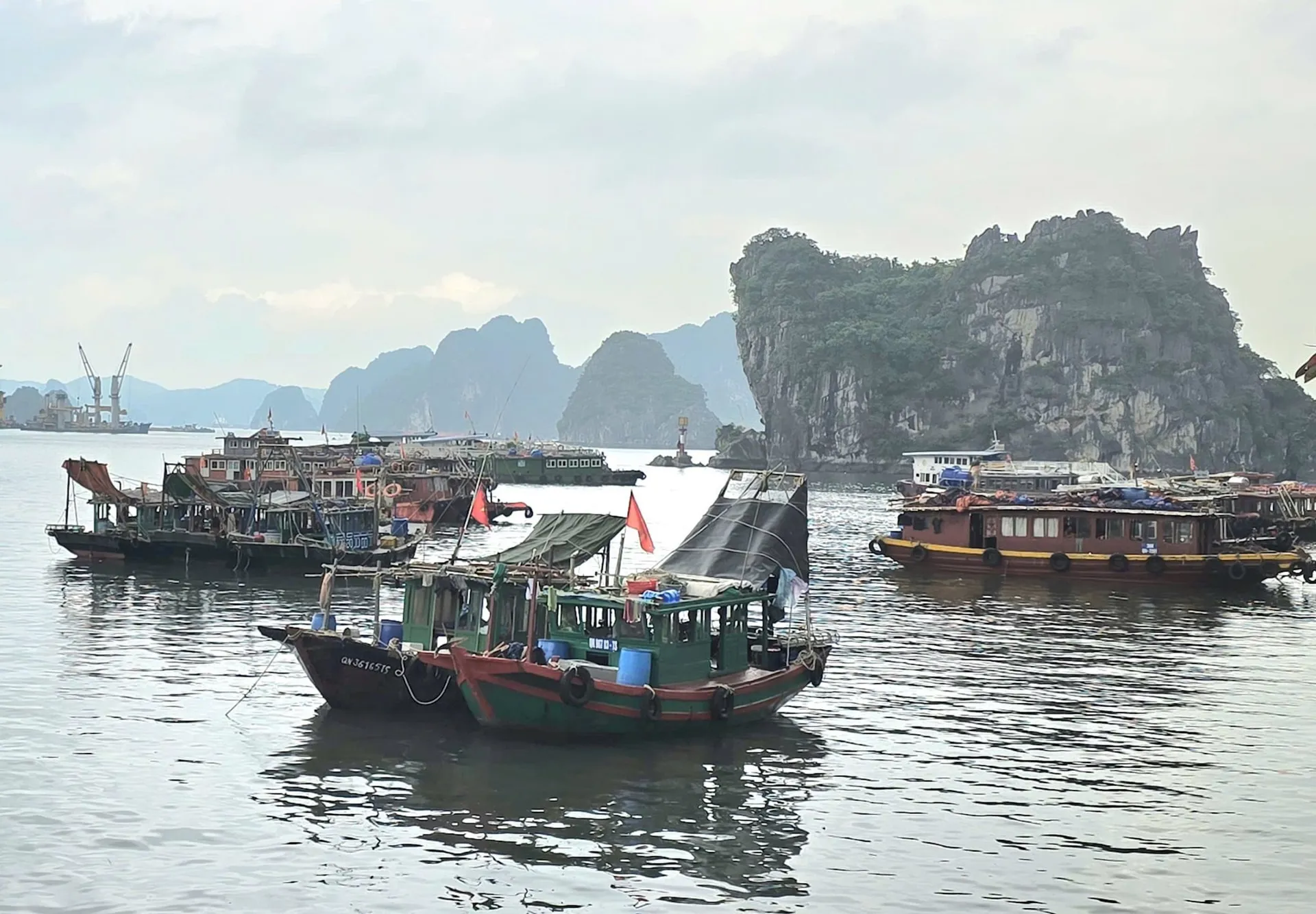 Hình ảnh 1
