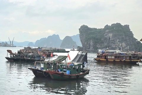 Quảng Ninh: các tàu thuyền vào nơi tránh trú sau lệnh cấm bão