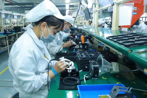 Hải Phòng: không để thiếu nguồn cung thực phẩm dịp Tết