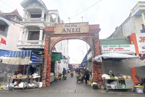 Hải Phòng: nguồn cung dồi dào phục vụ Tết Nguyên đán 2026