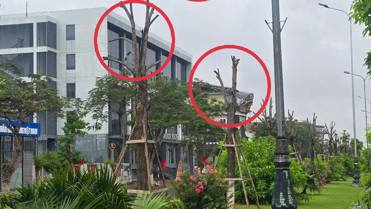 Hình ảnh 1