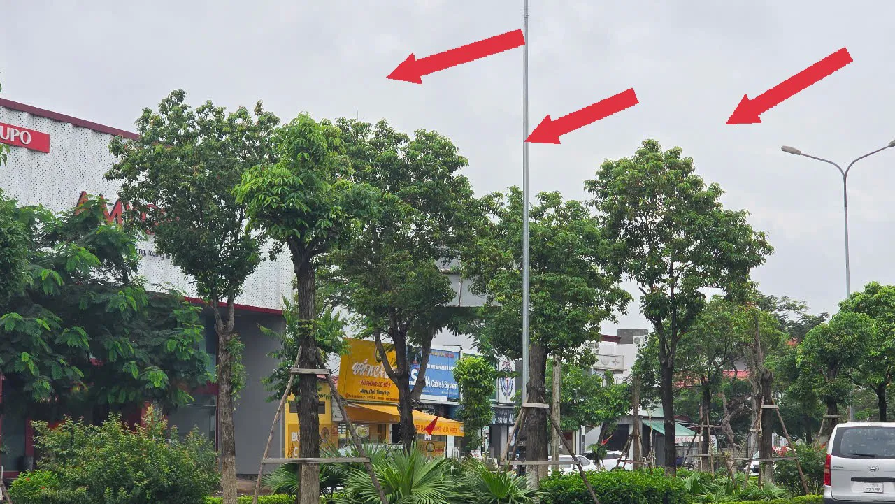 Hình ảnh 5