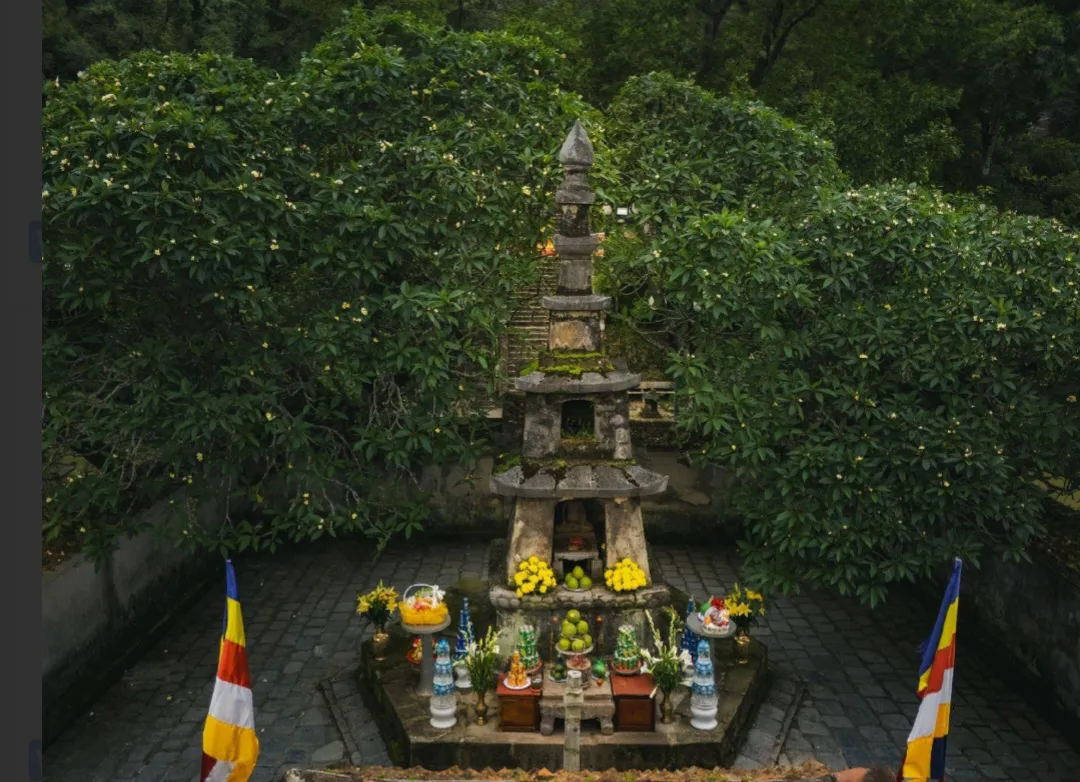 Hình ảnh 1