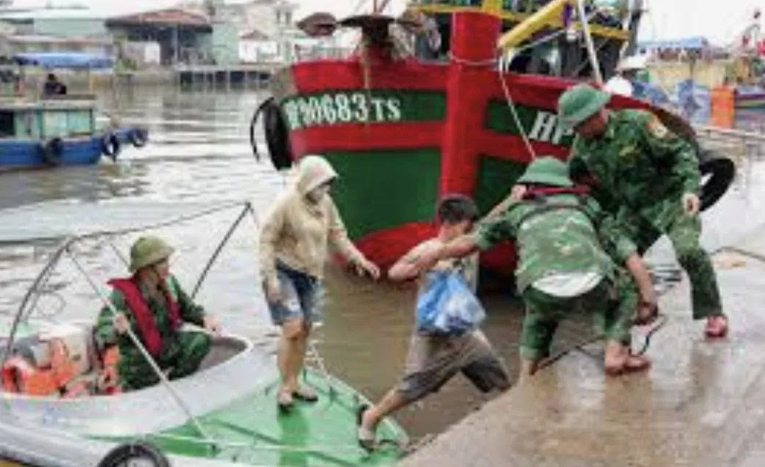 Hải Phòng: hơn 1.400 tàu, thuyền vào nơi tránh trú an toàn trước bão số 5
