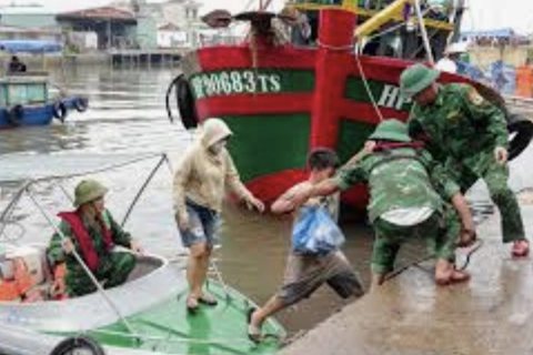 Hải Phòng: hơn 1.400 tàu, thuyền vào nơi tránh trú an toàn trước bão số 5
