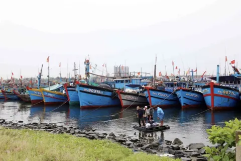 Hải Phòng: ứng trực 24/7, sẵn sàng công tác phòng chống siêu bão