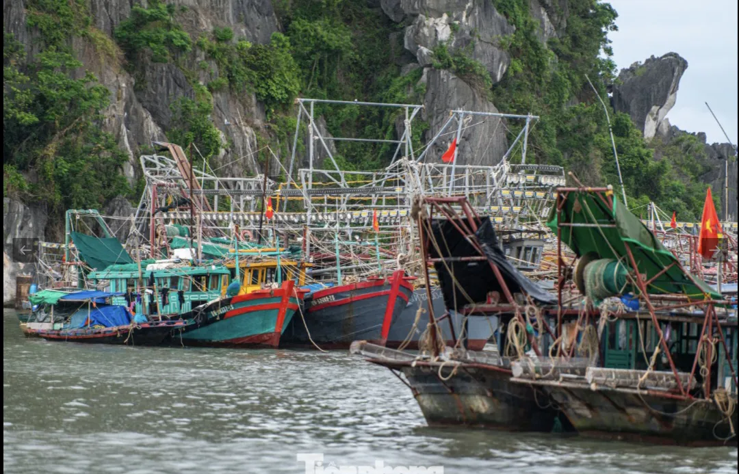 Quảng Ninh: ứng phó khẩn cấp với bão số 11