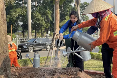 Hải Phòng: phát động trồng cây hưởng ứng Ngày cây xanh Việt Nam
