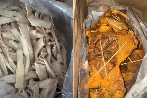 Hải Phòng: một doanh nghiệp bị phạt hơn 200 triệu đồng do thu mua 55 tấn lòng lợn, chân gà không nguồn gốc