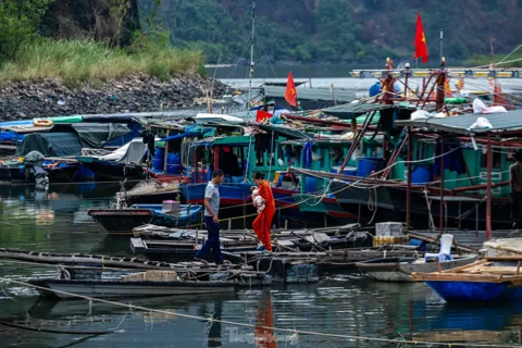 Hải Phòng: cấm các phương tiện ra khơi để phòng chống bão số 9