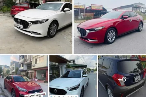 Hải Phòng: cảnh báo thủ đoạn lừa chiếm đoạt ô tô qua mượn và thuê xe tự lái