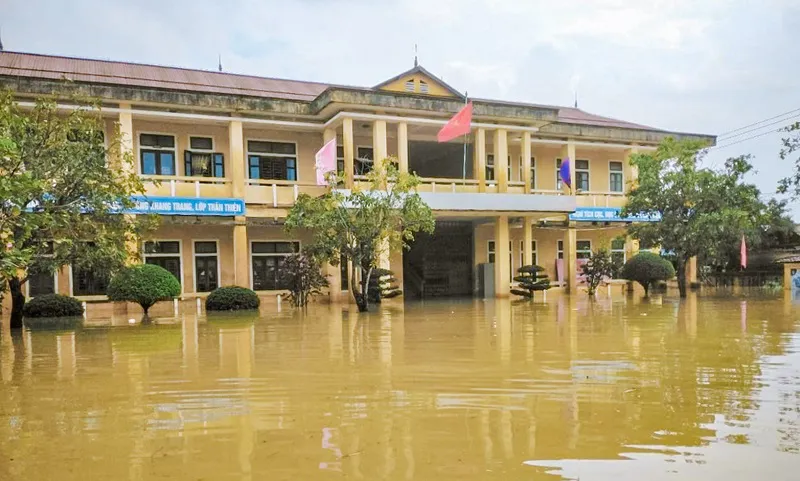 Hình ảnh 2