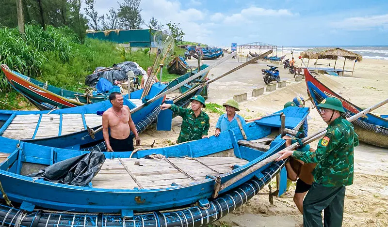 Hình ảnh 3