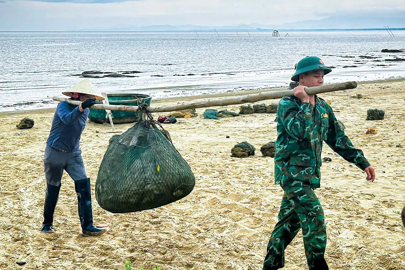 Hình ảnh 4