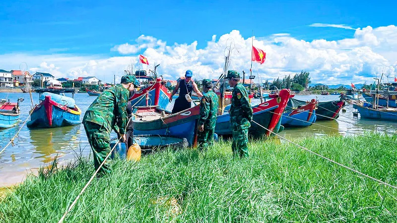 Hình ảnh 2