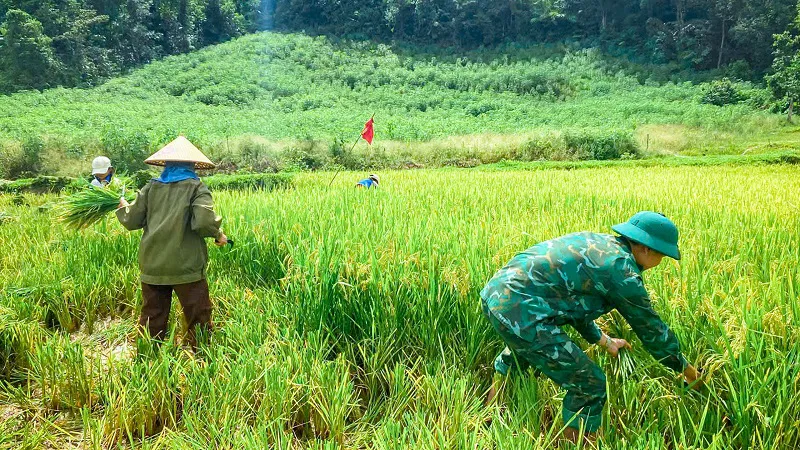 Hình ảnh 11
