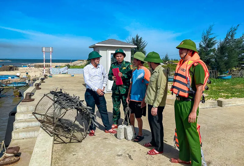 Hình ảnh 6