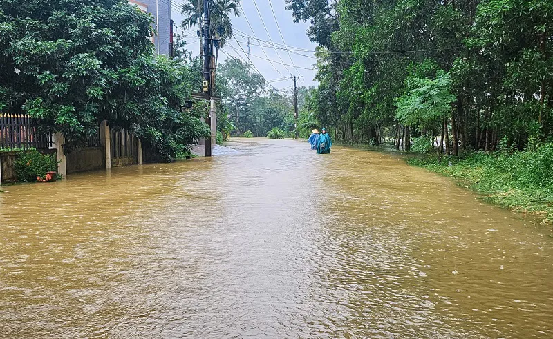 Hình ảnh 1
