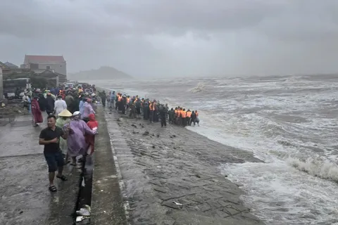 Hà Tĩnh: chính quyền và người dân xã Thiên Cầm khẩn trương gia cố kè Cửa Nhượng