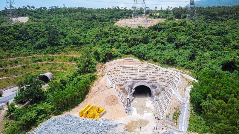 Hình ảnh 3