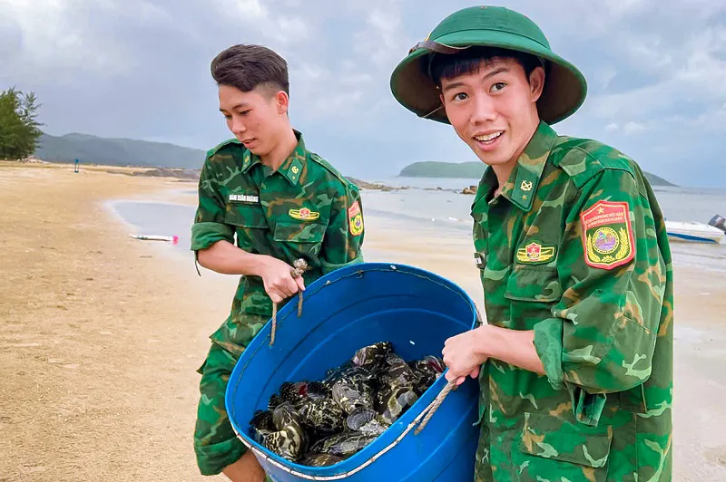 Hình ảnh 5