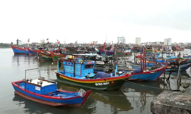 Hình ảnh 2