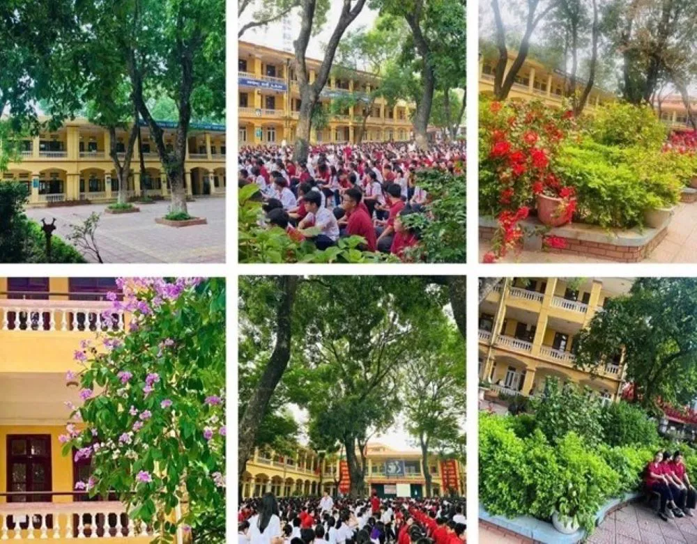 Hình ảnh 2