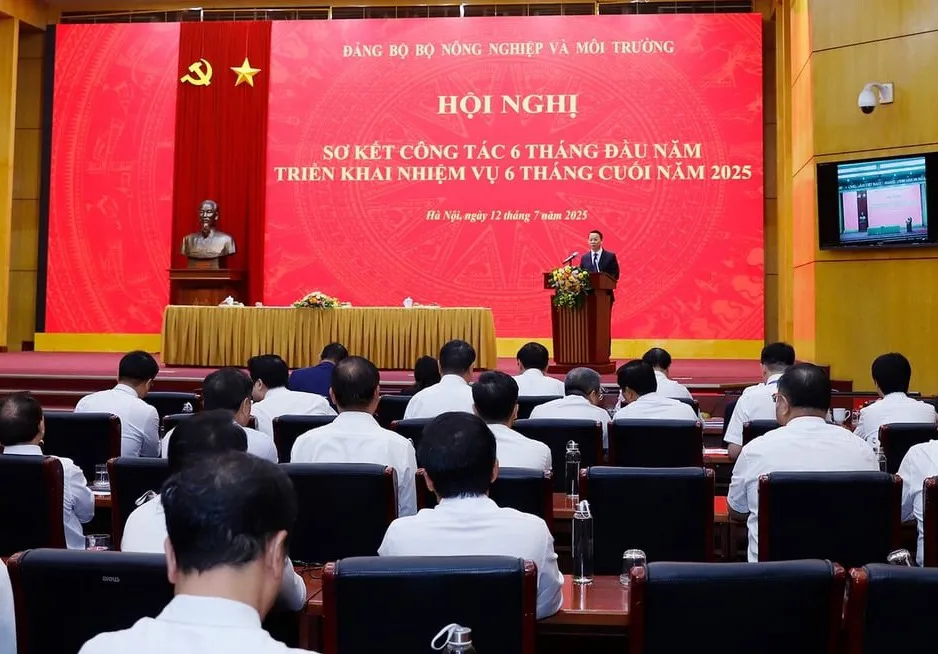 Hình ảnh 2