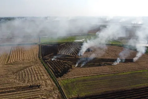 Thu hút nguồn lực để giảm phát thải khí metan