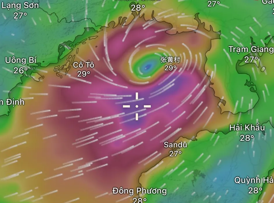 Hình ảnh 1