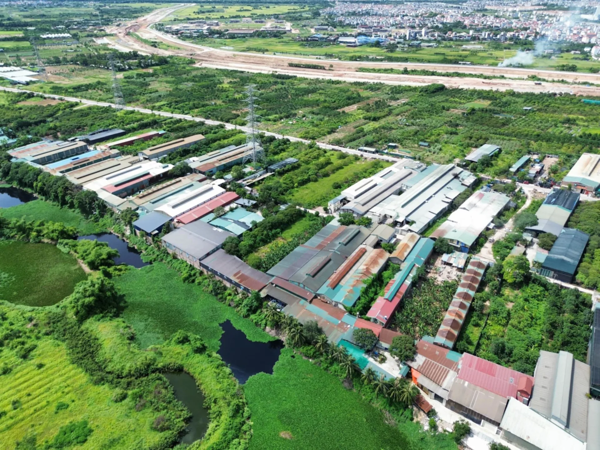 Hình ảnh 1