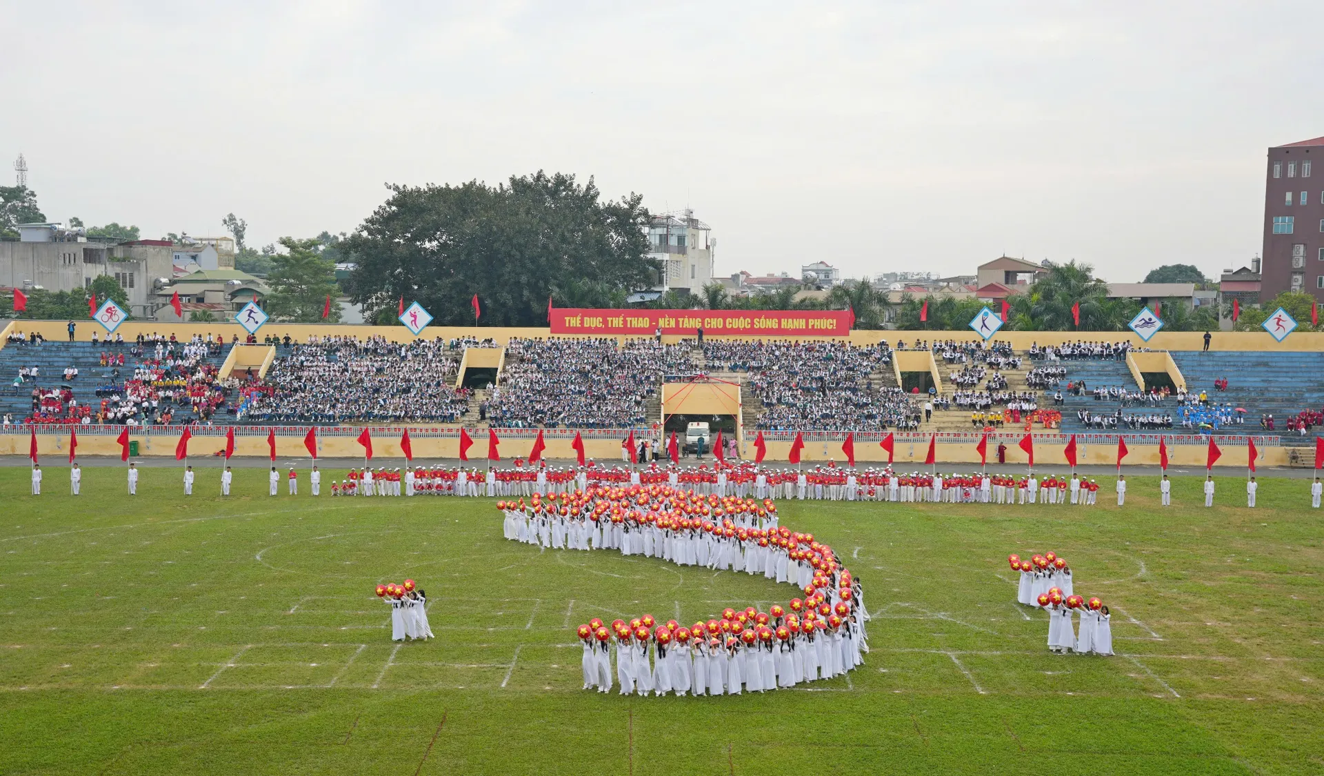 Hình ảnh 8