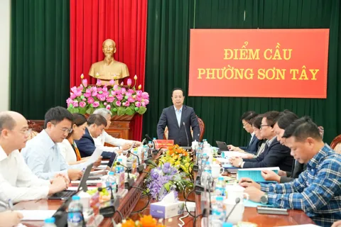 Giám sát công tác thực hiện chuyên đề trọng tâm, cấp bách ở phường Sơn Tây