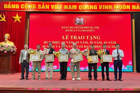 Xã Hoài Đức: 33 đảng viên được trao tặng Huy hiệu Đảng đợt 7/11