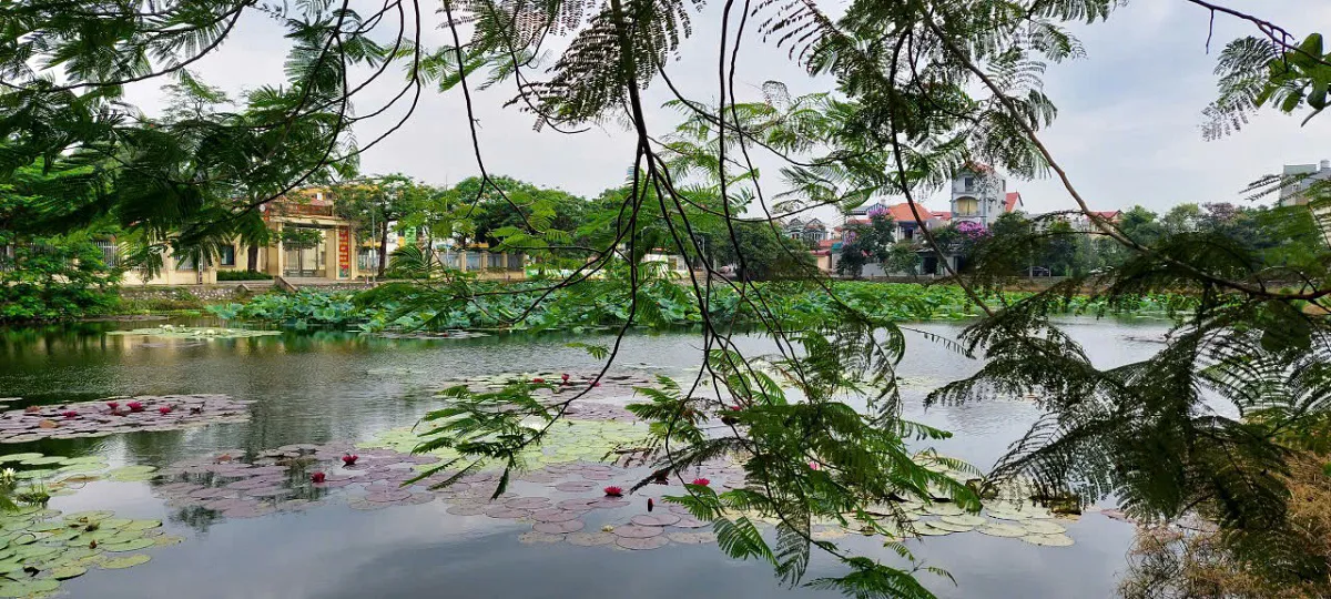 Hình ảnh 3